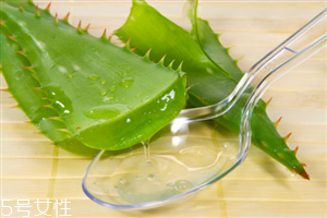 芦荟能祛斑吗擦在脸上,芦荟可以淡化斑点吗 芦荟能祛斑吗擦在脸上,芦荟可以淡化斑点吗