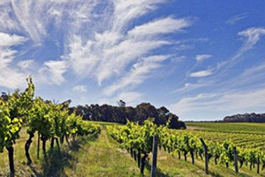 lellure是什么牌子,leisure是什么牌子