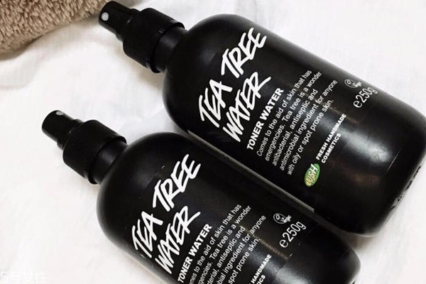 茶树精华洗发水哪一种最好用