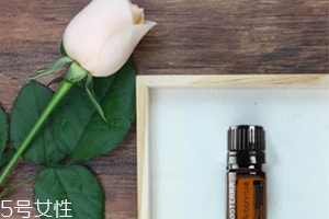 牛樟芝精油的功效和用法,牛樟芝精油功效和作用