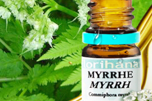 单方精油的功效大全表,多特瑞没药精油的功效和作用 单方精油的功效大全表,多特瑞没药精油的功效和作用