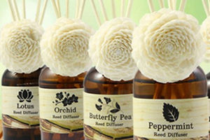 柠檬精油和柠檬草精油有什么区别,柠檬精油和柠檬草精油的功效和作用