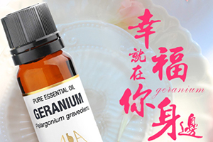 薄荷精油价格,薄荷精油香薰的功效和作用