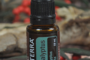 茶树精油的功效和作用,尤加利精油的功效和作用 茶树精油的功效和作用,尤加利精油的功效和作用