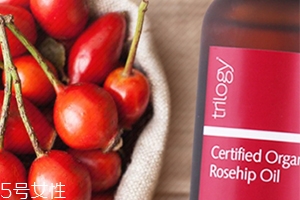 玫瑰果油的功效和作用,玫瑰果油的功效和作用及使用方法