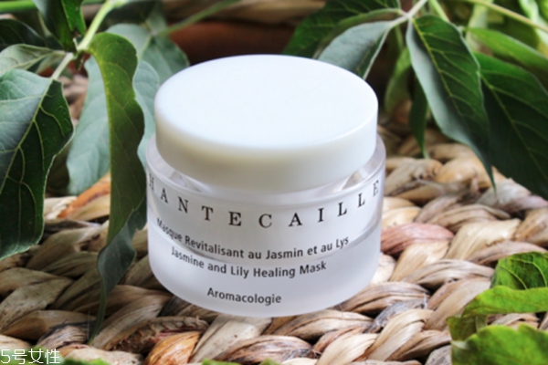 白金粉底液适合肤质,山茶花洗面奶适合肤质