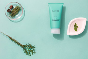 兰芝净透毛孔洁颜油,兰芝净透毛孔洁颜油使用方法