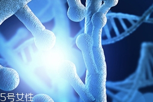 AF玻尿酸,玻尿酸和维e乳的作用是什么? AF玻尿酸,玻尿酸和维e乳的作用是什么?