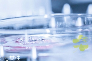 瑞卡澜是什么品牌,澜兹 品牌