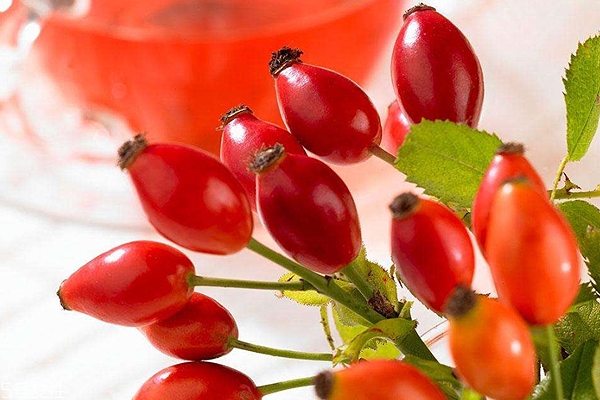 玫瑰果油真假,玫瑰精油结晶假货