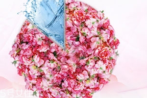 florihana怎么读,florida的中文