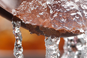 雪燕是酸的吗,赵燕 玻尿酸