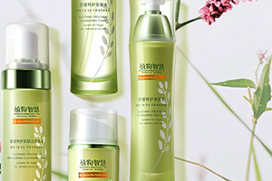 植物智慧适合多大年龄,植物有智慧吗