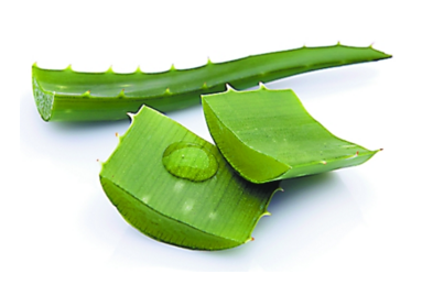 用芦荟做面膜多久一次比较好,芦荟面膜要敷多长时间