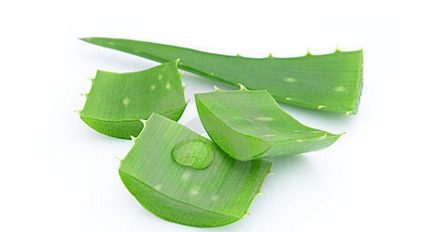 芦荟胶能去除红血丝吗,每天用芦荟胶擦红血丝的地方好不好