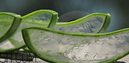 哪个品牌的芦荟胶祛痘效果好,芦荟胶祛痘好用吗