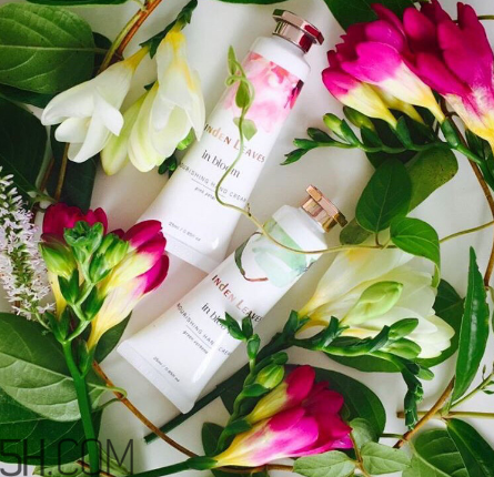 lindesa护手霜 怎么样,植物香氛护手霜 lindesa护手霜 怎么样,植物香氛护手霜