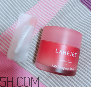 兰芝唇膜的成分,兰芝夜间修护唇膜