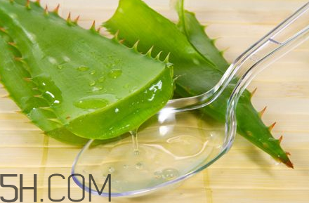 自然乐园芦荟胶孕妇可以用吗?,芦荟胶孕妇能用不