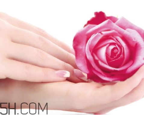 法兰琳卡是几线品牌,法兰琳卡是哪个国家的品牌