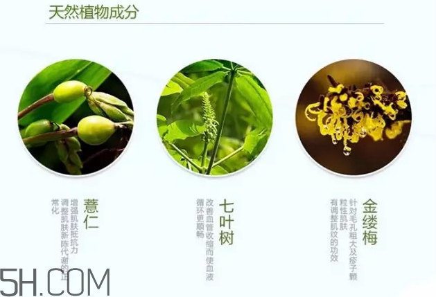 奥尔滨健康水怎么样,奥尔滨健康水的功效和作用