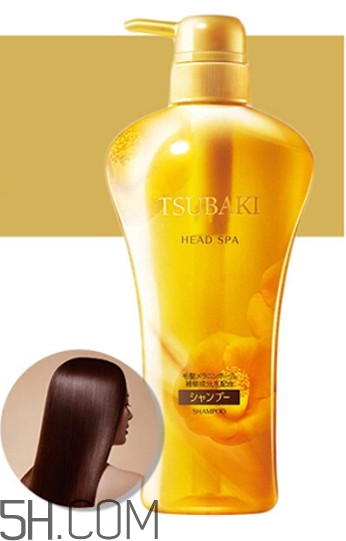 丝蓓绮洗发水哪款好用,丝蓓绮洗发水好用吗 丝蓓绮洗发水哪款好用,丝蓓绮洗发水好用吗