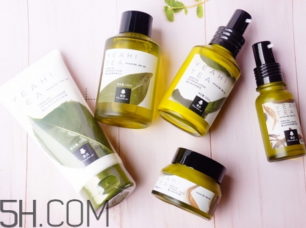 产品介绍模板,乐盈一生终身寿险产品介绍