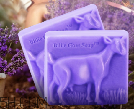 山羊奶皂好用吗,山羊奶皂哪个牌子好