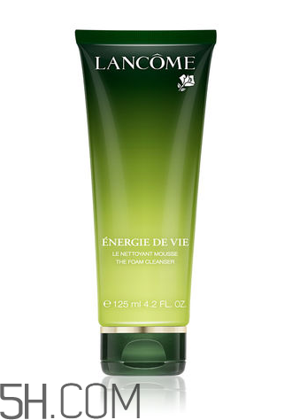 产品介绍模板,乐盈一生终身寿险产品介绍