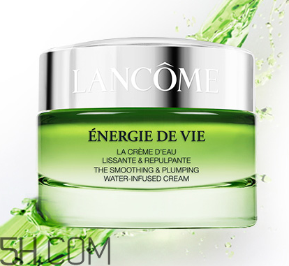 产品介绍模板,乐盈一生终身寿险产品介绍