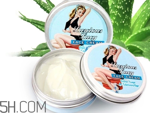 产品介绍模板,乐盈一生终身寿险产品介绍