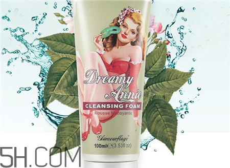 产品介绍模板,乐盈一生终身寿险产品介绍