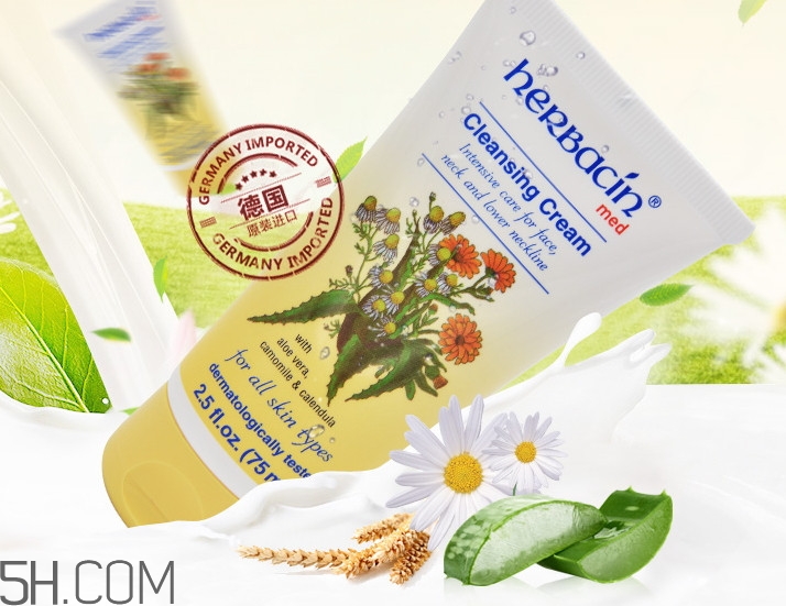 产品介绍模板,乐盈一生终身寿险产品介绍