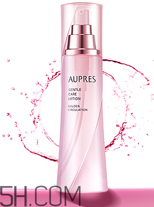 产品介绍模板,乐盈一生终身寿险产品介绍