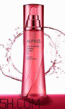 产品介绍模板,乐盈一生终身寿险产品介绍