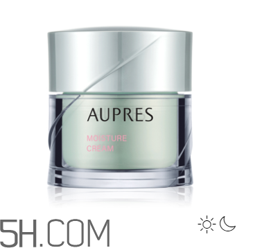 产品介绍模板,乐盈一生终身寿险产品介绍