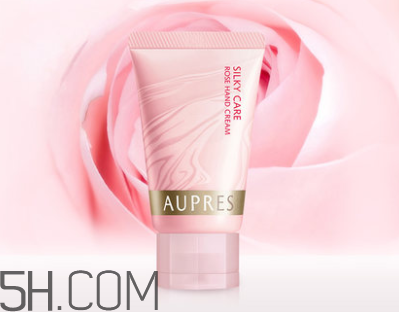 产品介绍模板,乐盈一生终身寿险产品介绍