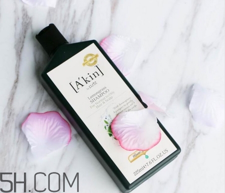 产品介绍模板,乐盈一生终身寿险产品介绍 产品介绍模板,乐盈一生终身寿险产品介绍