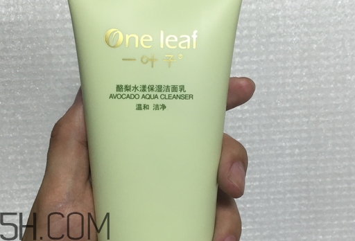 一叶子洗面奶介绍,一叶子的洗面奶