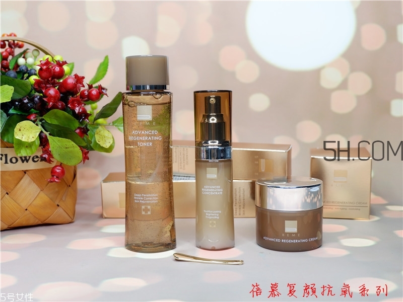 产品介绍模板,乐盈一生终身寿险产品介绍