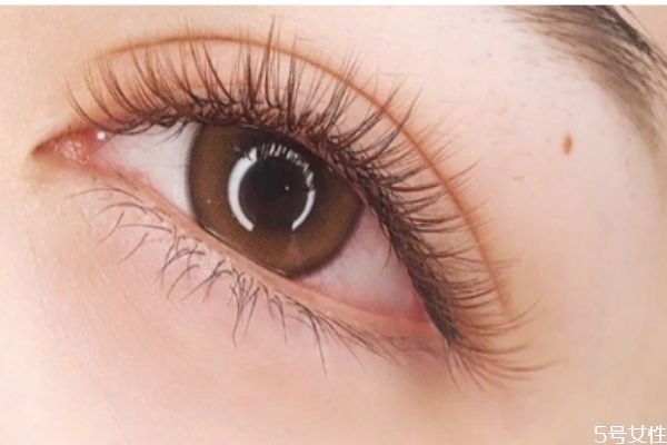 嫁接睫毛会伤害自己的睫毛吗,嫁接睫毛对睫毛有伤害吗 嫁接睫毛会伤害自己的睫毛吗,嫁接睫毛对睫毛有伤害吗