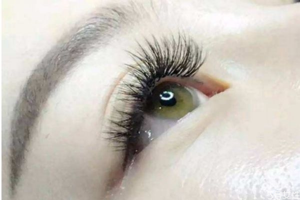 嫁接睫毛一般需要几个号,嫁接下睫毛用什么型号 嫁接睫毛一般需要几个号,嫁接下睫毛用什么型号