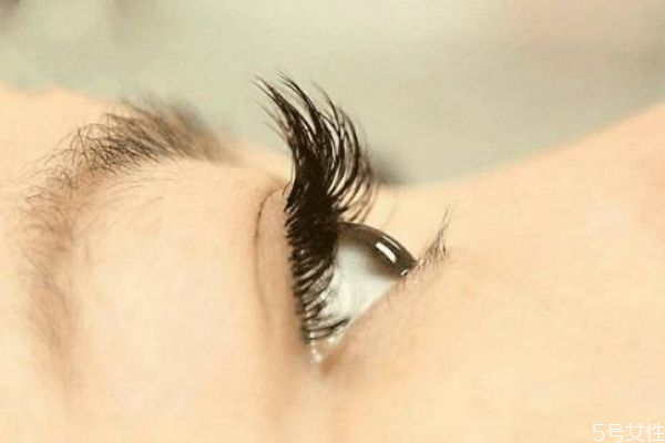 嫁接睫毛最好的是用什么毛,嫁接睫毛选哪种好