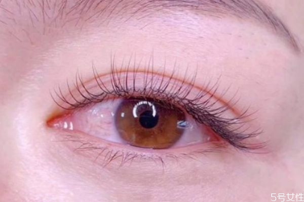 嫁接睫毛应该粘在睫毛上面还是下面,嫁接睫毛是粘在睫毛上还是眼皮上 嫁接睫毛应该粘在睫毛上面还是下面,嫁接睫毛是粘在睫毛上还是眼皮上