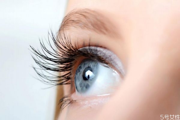 睫毛可以种植吗?,种植睫毛能维持多久