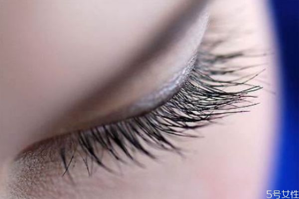 种睫毛到底好不好,种睫毛到底好不好看