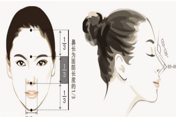 膨体隆鼻好不,膨体隆鼻的膨体是什么东西