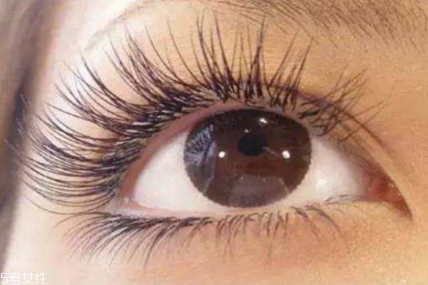 种植眼睫毛能保持多久,睫毛能种植吗 种植眼睫毛能保持多久,睫毛能种植吗