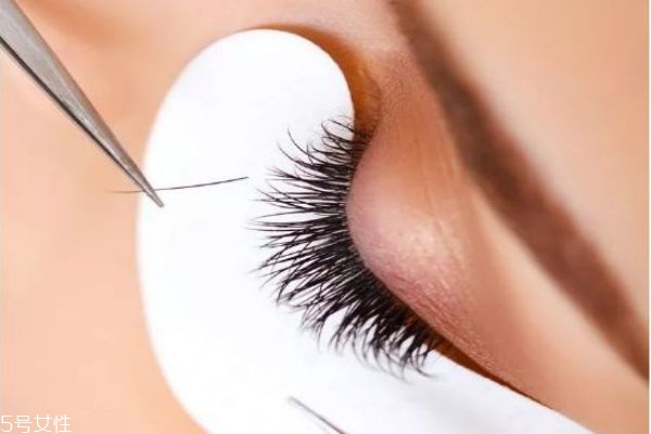 种睫毛和嫁接睫毛是一样的吗,种睫毛和嫁接睫毛区别