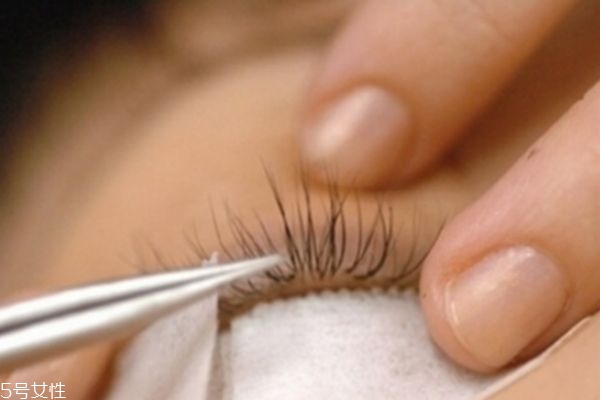 什么样的人不适合嫁接睫毛,嫁接睫毛好么